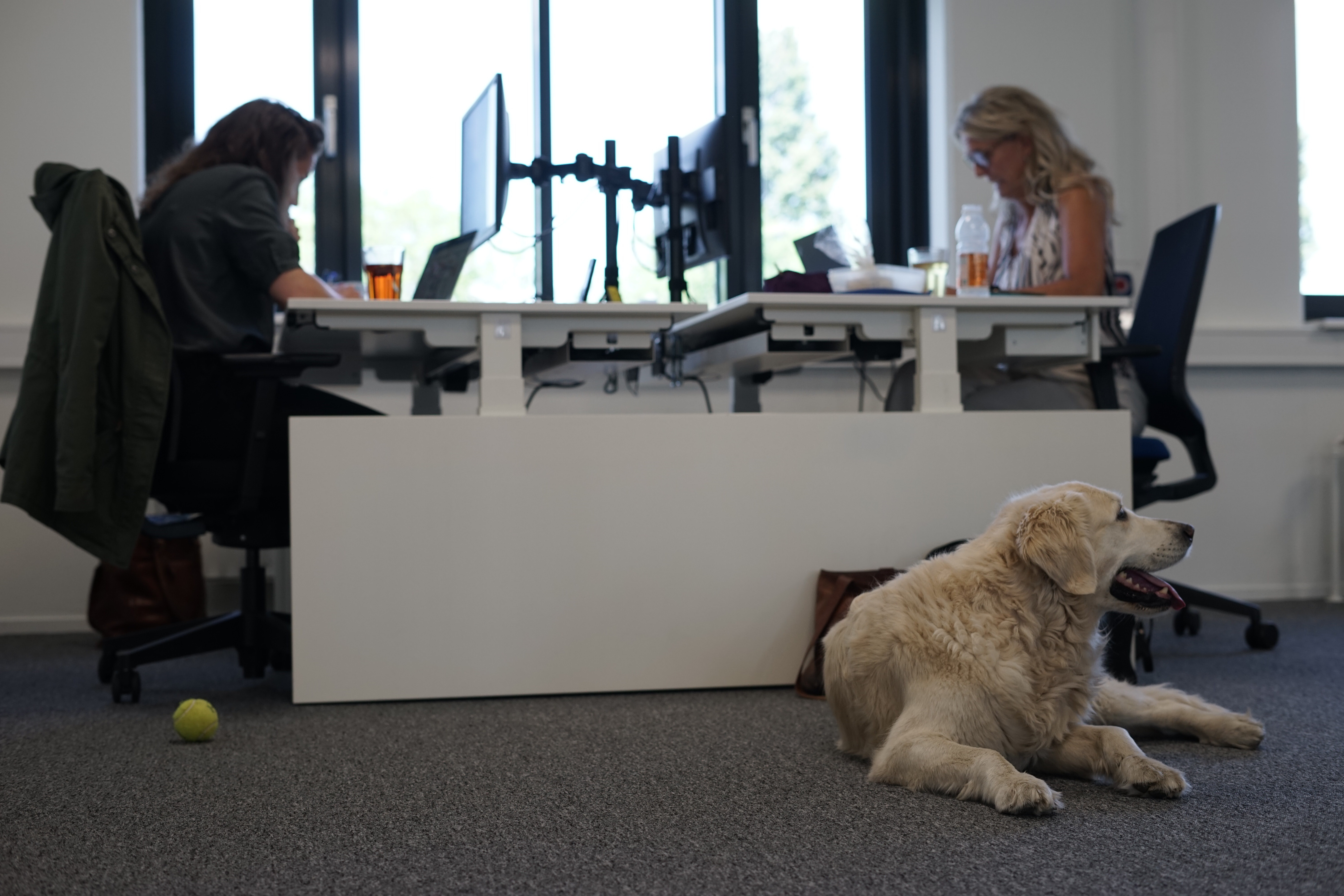 Waarom detachering essentieel is bij veranderende IT-behoeften